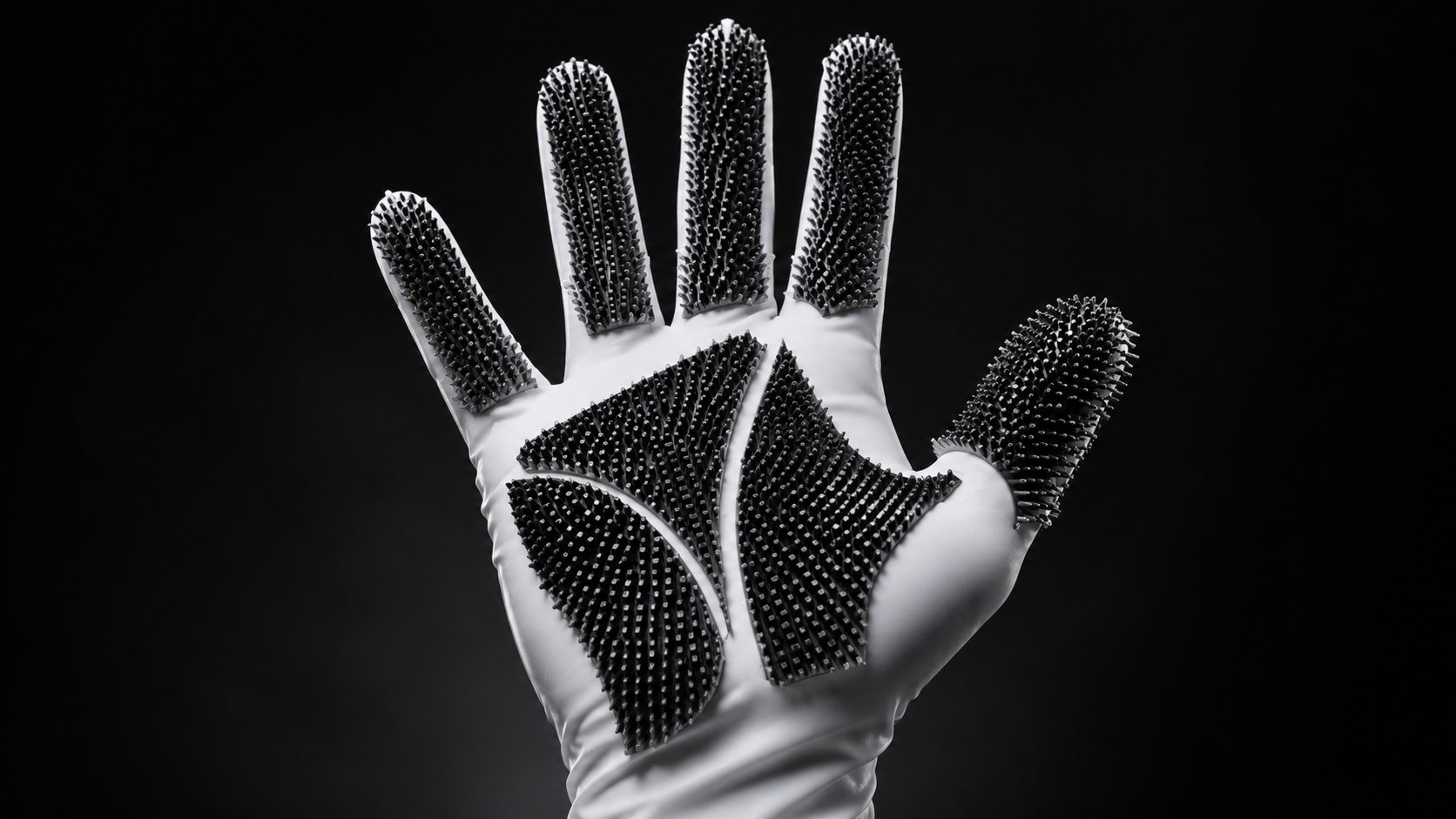 SkinGo — palm render